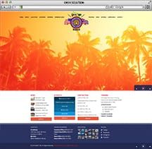 Hawaii Web Designer Ibew 1866